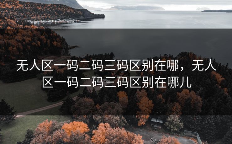 无人区一码二码三码区别在哪，无人区一码二码三码区别在哪儿