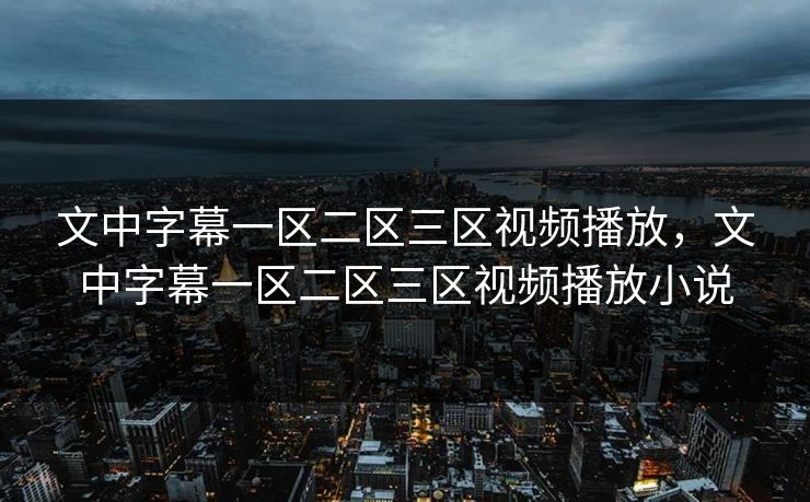 文中字幕一区二区三区视频播放，文中字幕一区二区三区视频播放小说