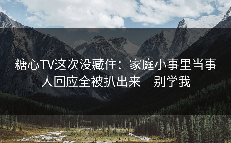 糖心TV这次没藏住：家庭小事里当事人回应全被扒出来｜别学我